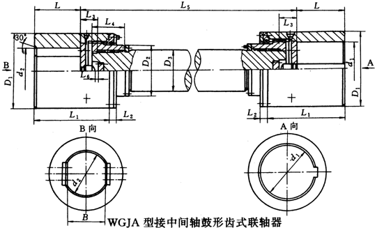 WGJ型接中間軸鼓形齒式聯軸器外形及安裝尺寸(JB/T8821-98)