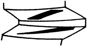 FX݆͜pX݆gZӹ݆X|zԇ