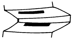 FX݆͜pX݆gZӹ݆X|zԇ